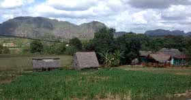 Valle de Vinales (Vinales Vadisi) Pinar Del Rio