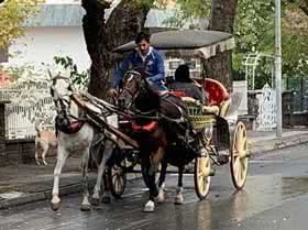 Adalar-Atlar-Faytonlar