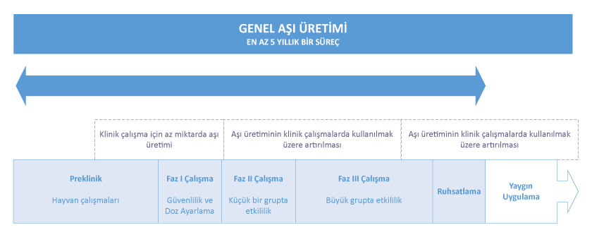 Genel Aşı Üretim Süreçleri