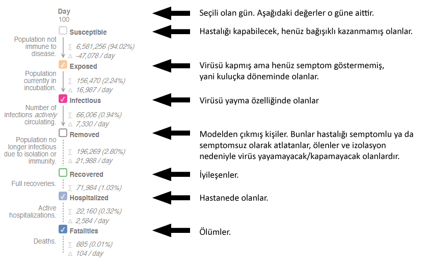 Grafik 2.2 – Modelin çıktıları