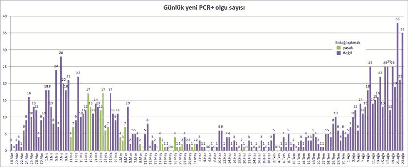 PCR+ Vaka Grafiği