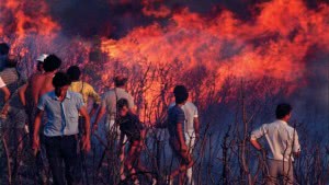 Büyükada orman yangını, 1990&#039;lar
