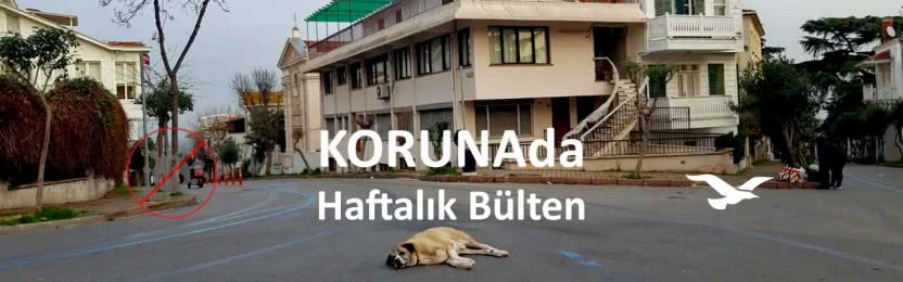 KORUNAda – Yeni yıla koronasız girin – 23 Aralık 2020