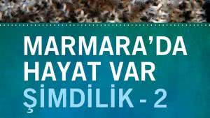 Marmara’da Hayat Var Şimdilik – 2 / 2012’den 2016’ya Değişim