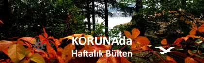 KORUNAda – “Aşıya kadar sürü” olmayalım – 25 Kasım 2020