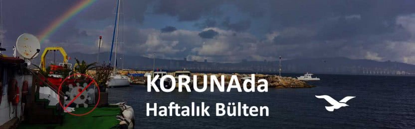 KORUNAda – “Salgına, depreme, yangına daha dayanıklı Adalar için” – 11 Kasım 2020