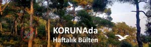 KORUNAda – Çıkışa daha çok var. Maksimum dikkat ve önlem gerektiren en kritik dönemdeyiz.  – 16 Aralık 2020