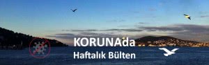 KORUNAda – “Şiddetle bir COVID-19 aşısına ihtiyacım var” – 9 Aralık 2020