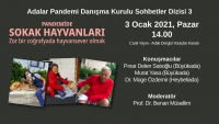 Canlı Yayın - Pandemide Sokak Hayvanları - Zor bir coğrafyada hayvansever olmak