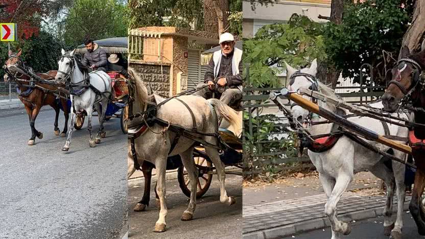 Adalar Savunması&#039;nın faytonlarla ilgili yazısına cevabımdır