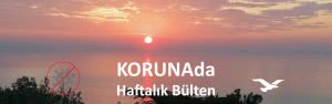 KORUNAda – Haftalık bültene veda – 17 Mart 2021