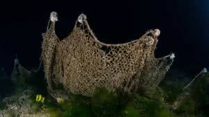 Sedef Adası derinliklerinde unutulmuş bir dip ağı