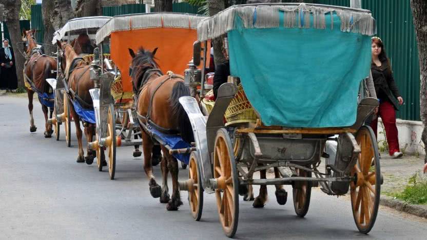 Adalar Vakfı’nın Başvurusuna Koruma Kurulunun Verdiği Cevap