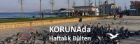 KORUNAda – Sağlıkçılar ve “siyasetçiler” aşılandı, darısı kalanlara – 20 Ocak 2021