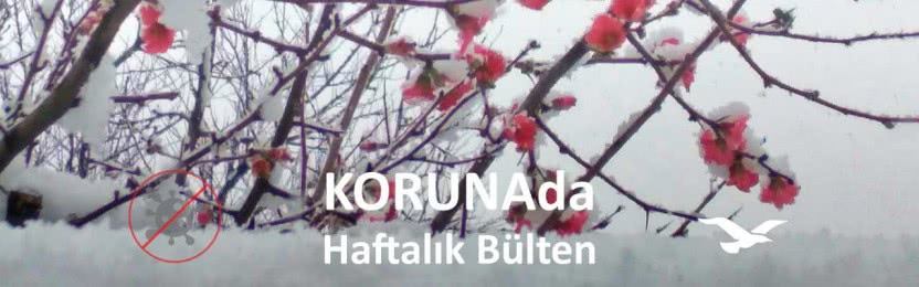 KORUNAda – Aşılar nerede? – 24 Şubat 2021