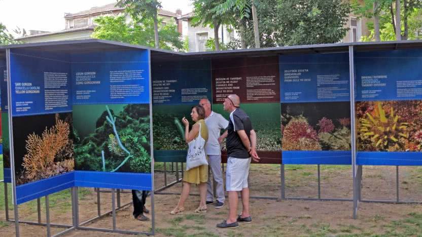 Marmara’da Hayat Var - Şimdilik 2 Sergisi açıldı