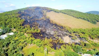 Heybeliada’da üç yıl üst üste üçüncü yangın. Bu kez 7 hektar kaybedildi.