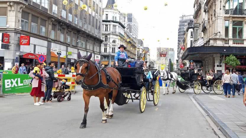 Avrupa Birliği&#039;nin başkenti Brüksel&#039;de faytonlar kadın sürücülere emanet