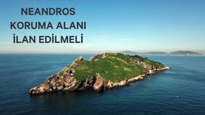 Neandros (Balıkçı) Adası Etrafı Koruma Alanı Yapılsın
