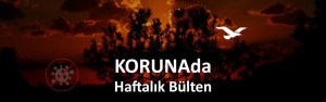 KORUNAda – Önceliğimiz Adalar’ın sağlık altyapısının iyileştirilmesi – 29 Temmuz 2020