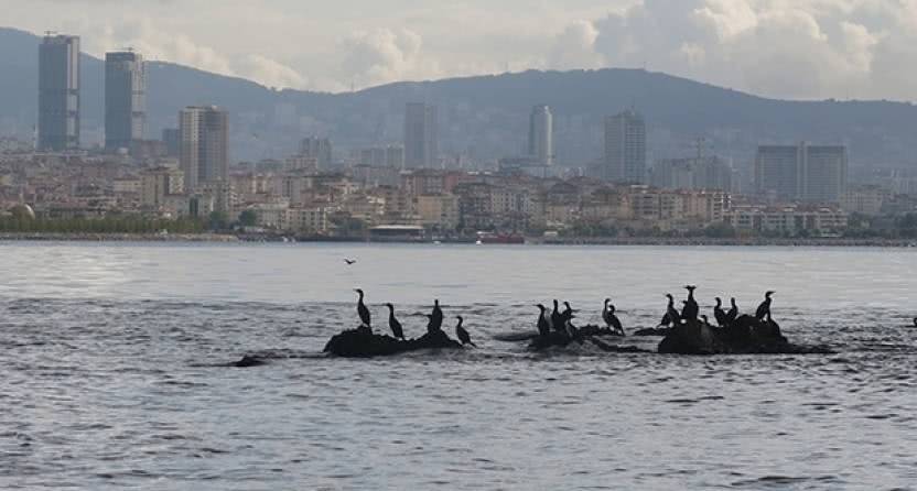 İstanbul&amp;#039;un kayıp adası olara